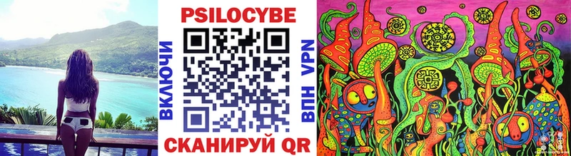 Псилоцибиновые грибы Cubensis Наволоки